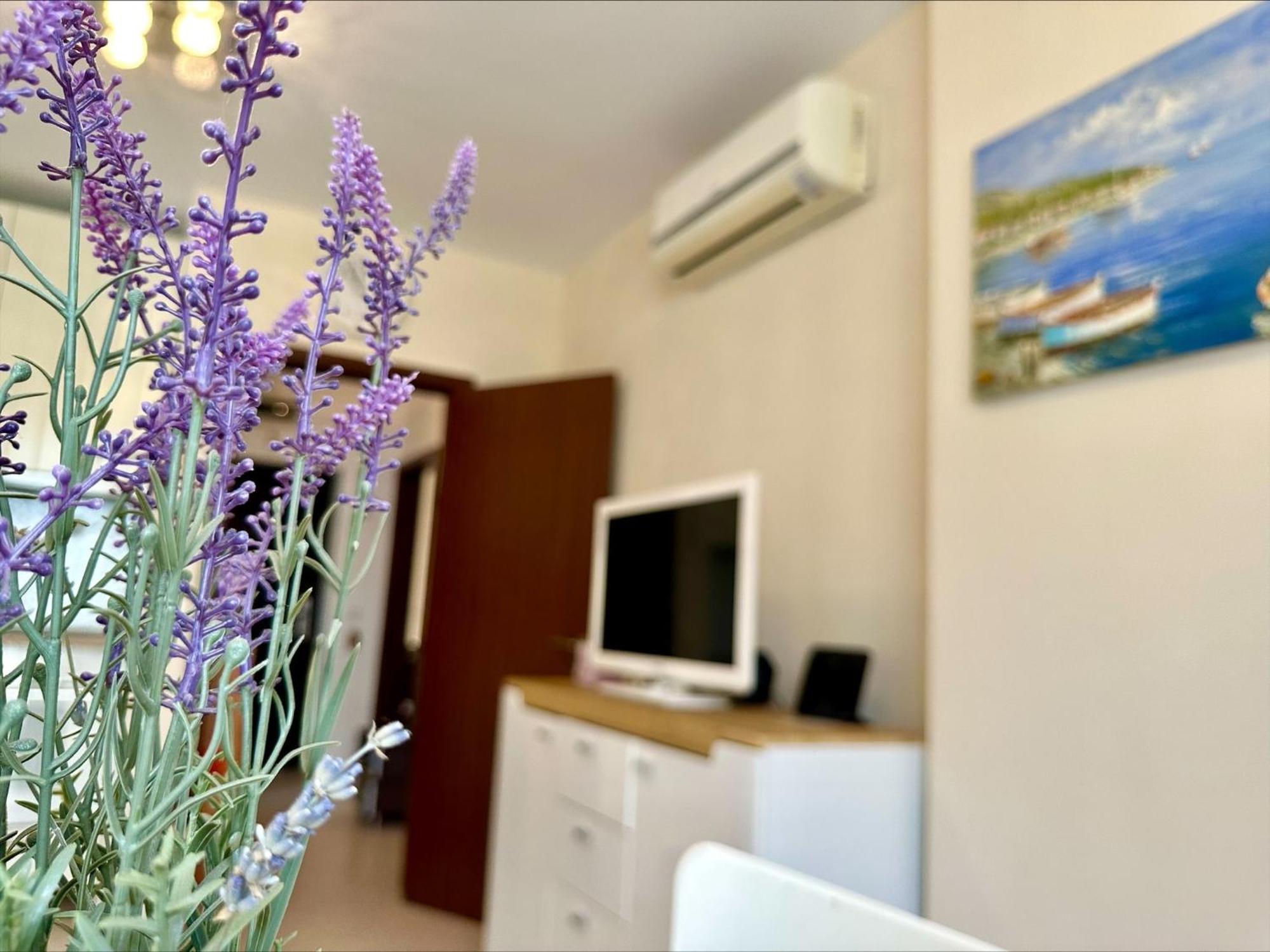 Menada Apartments In Cascadas Slăntjev Brjag Rum bild